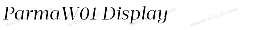 ParmaW01 Display字体转换